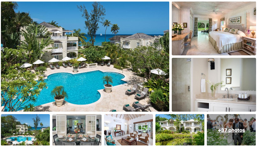 Coral Reef Club